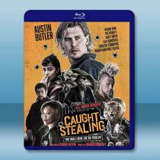 偷天盜日 Caught Stealing (2025)藍光25G