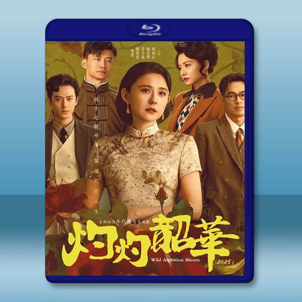 灼灼韶華 (2025)【TV全集+幕後花絮】藍光25G 4碟L:圖片 2