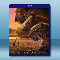 動物王國 Kingdom (2025)藍光25G 2碟