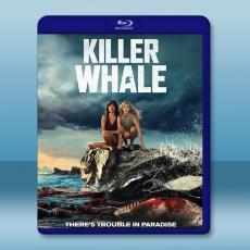 殺人鯨 Killer Whale(2026)藍光25G