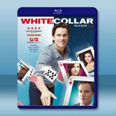 妙警賊探/貓鼠遊戲 第3+4季 White Collar S3-4(2011-2012)藍光25G 4碟