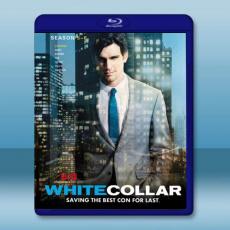 妙警賊探/貓鼠遊戲 第5+6季 White Collar S5-6(2013-2014)藍光25G 4碟