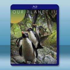 我們的星球第二季 Our Planet S2(2023)藍光25G