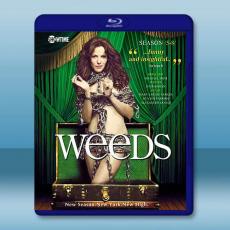 單身毒媽 第5-8季 Weeds S5-S8 藍光25G 4碟L