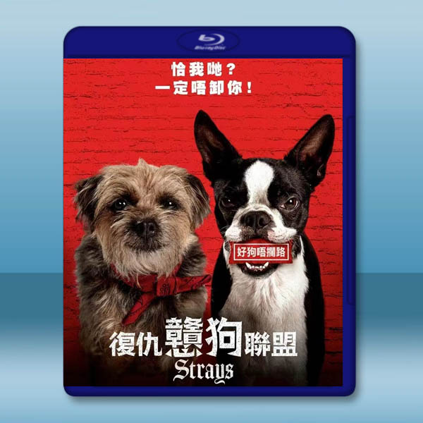 復仇狗聯盟/復仇戇狗聯盟 Strays (2023)藍光25G:圖片 2