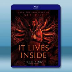 印咒：畢舍遮/深居在內 It Lives Inside (2023)藍光25G