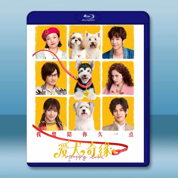 愛犬奇緣 (2023)藍光25G:圖片 2