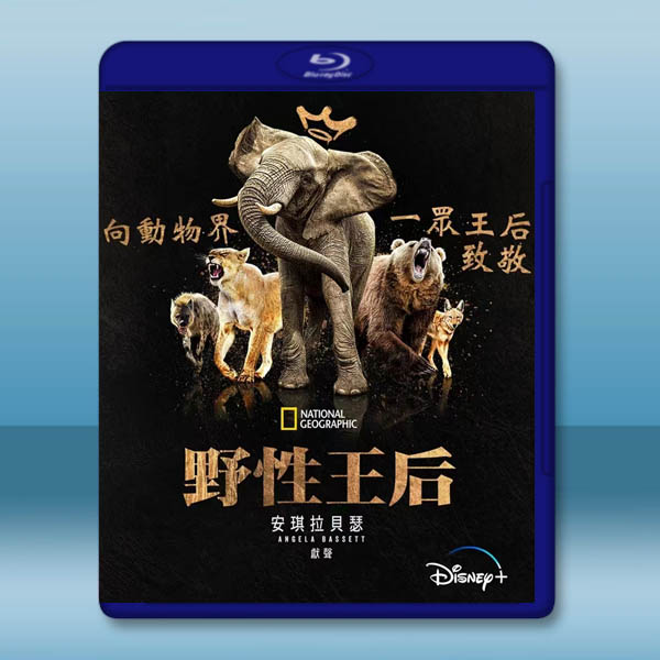 野性王后 Queens(2024)藍光25G 2碟:圖片 2
