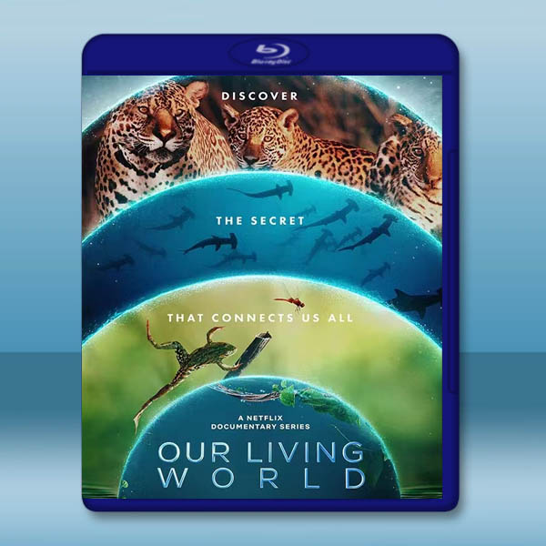 我們的生物世界 Our Living World(2024)藍光25G:圖片 2