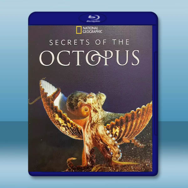 章魚的秘密 Secrets of the Octopus(2024)藍光25G T:圖片 2