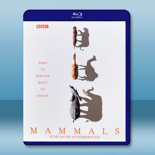 BBC 哺乳動物星球 Mammals(2024)藍光25G 2碟L:圖片 2