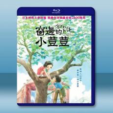 窗邊的小荳荳 (2023)藍光25G