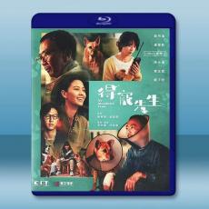 得寵先生 (2024)藍光25G