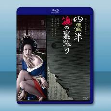 歡場春夢 四畳半襖の裏張り（1973）藍光影片25G