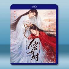 仙台有樹 (2025)【TV全集+幕後花絮】藍光25G 4碟L