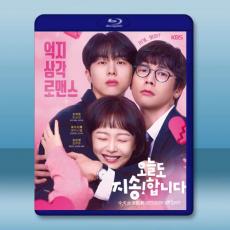 今天也很抱歉 (2024)藍光25G 2碟L