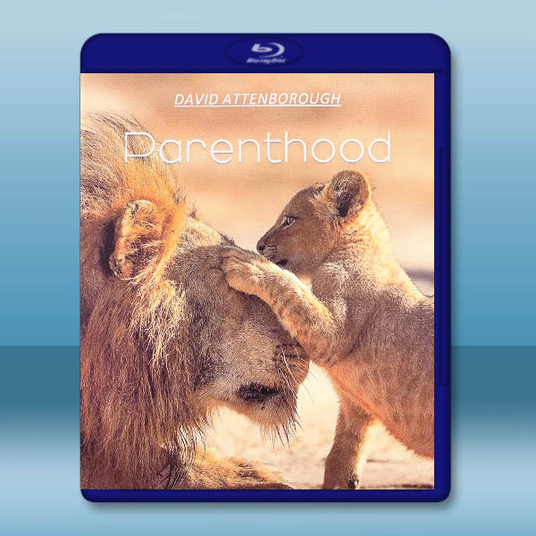 寶貝星球 Parenthood (2025)藍光25G 2碟L:圖片 2