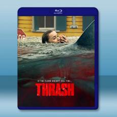 狂鯊風暴 Thrash(2026)藍光25G